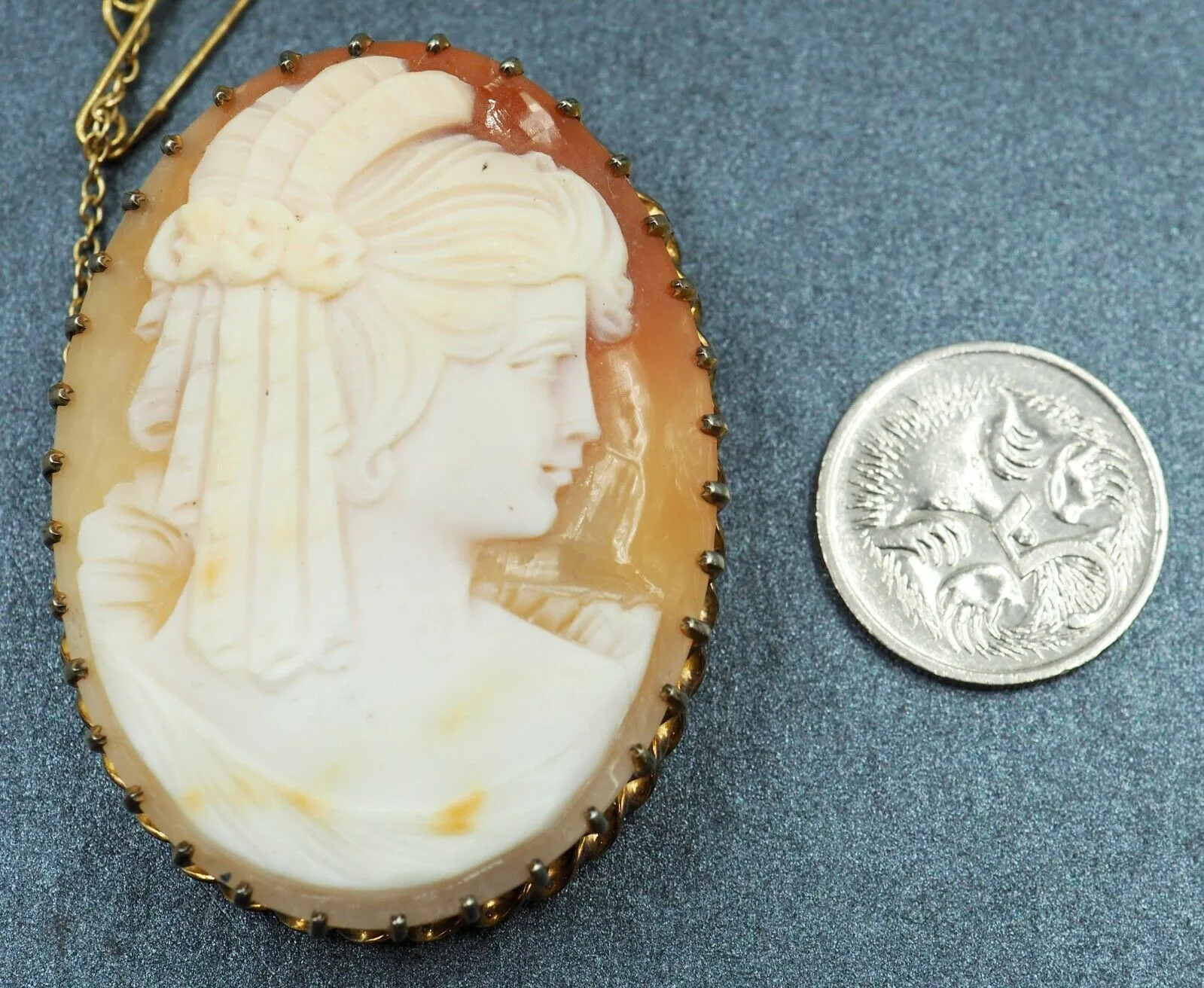 Shell Cameo Gold Plated & Claw Set Brooch with Safety Chain & Pin